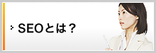 SEO�Ƃ́H