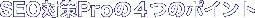 SEO�΍�Pro��4�̃|�C���g